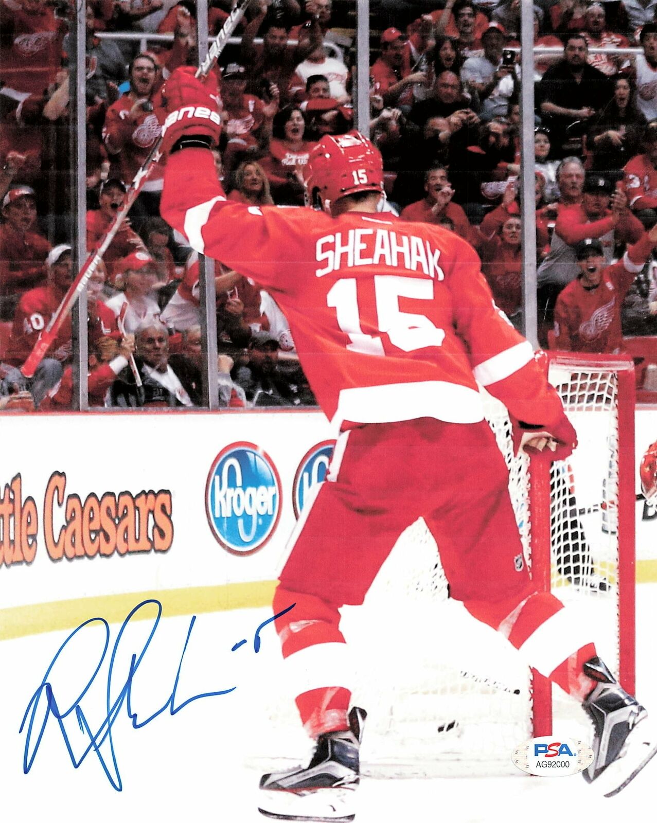 Riley Sheahan signed 8x10 Photo Poster painting PSA/DNA Detroit Red Wings Autographed