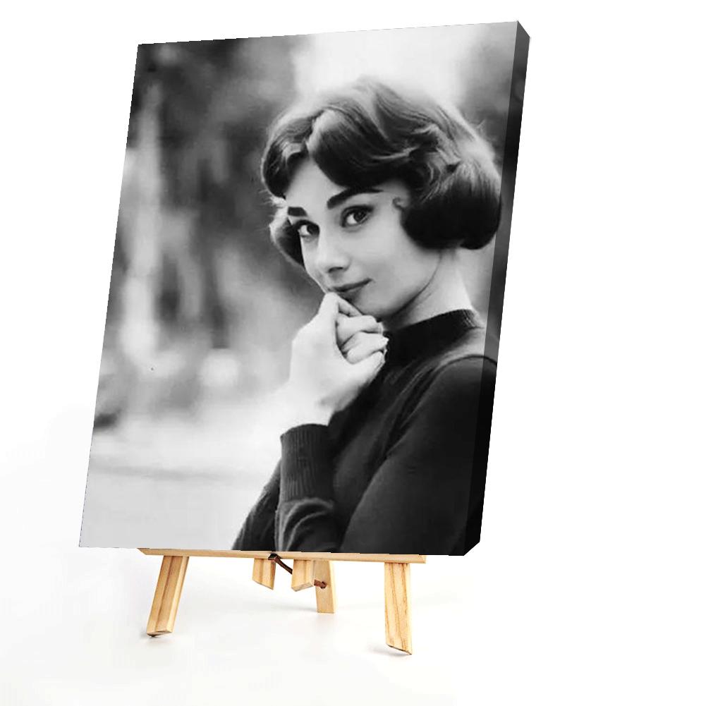 Audrey Hepburn - Painting By Numbers - 40*50CM gbfke