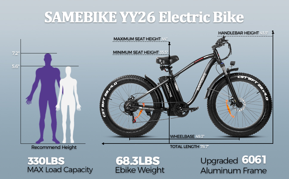 electric bike