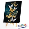 Painting By Numbers - DIY Color Butterfly (40*50cm)