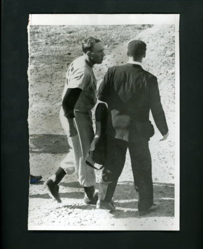 Irv Noren New York Yankees Suspended 1955 Press Photo Poster painting Umpire Bill McKinley