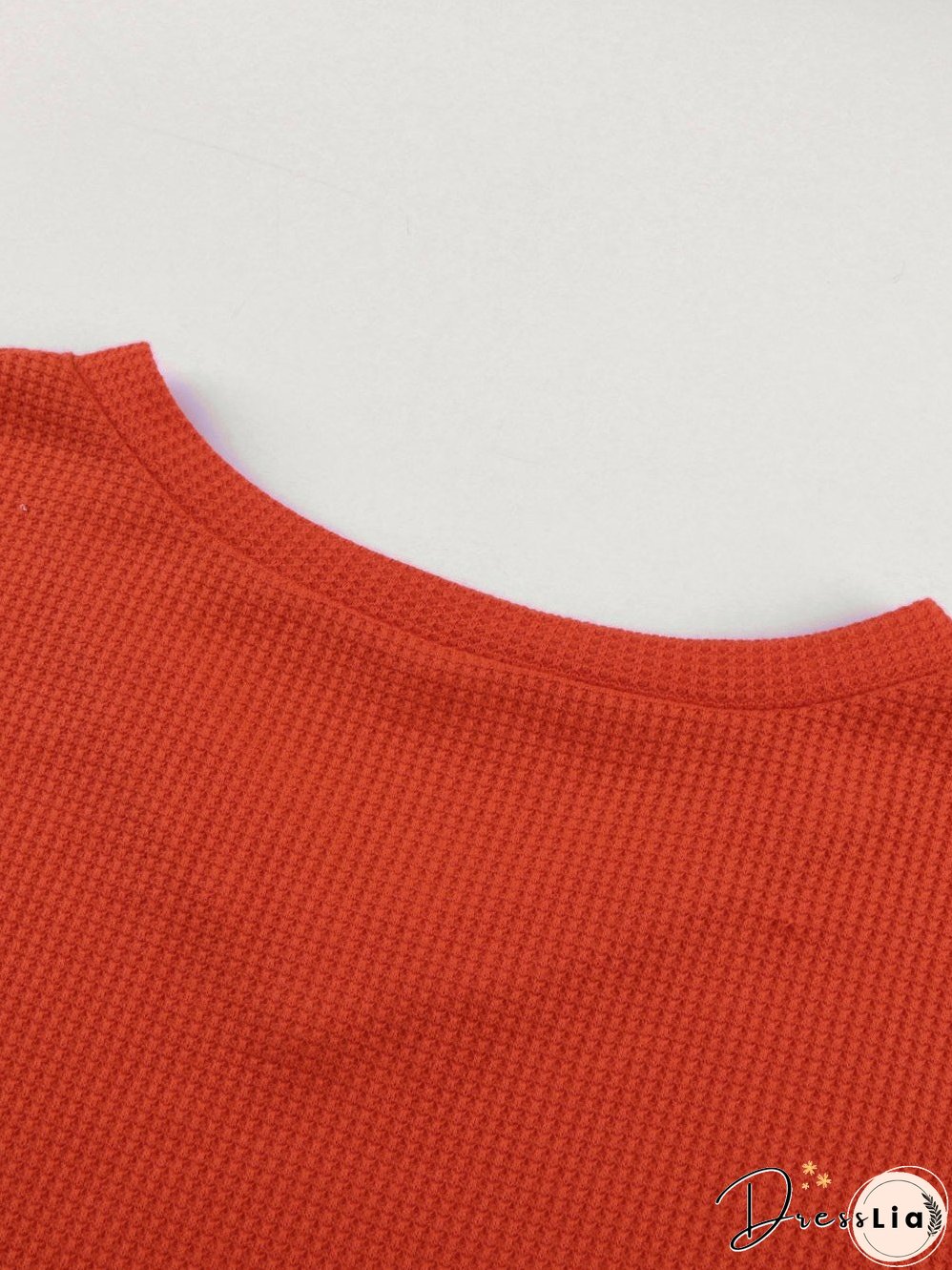 Leopard Stripe V Neck Lantern Sleeve Top with Colorblock Detail