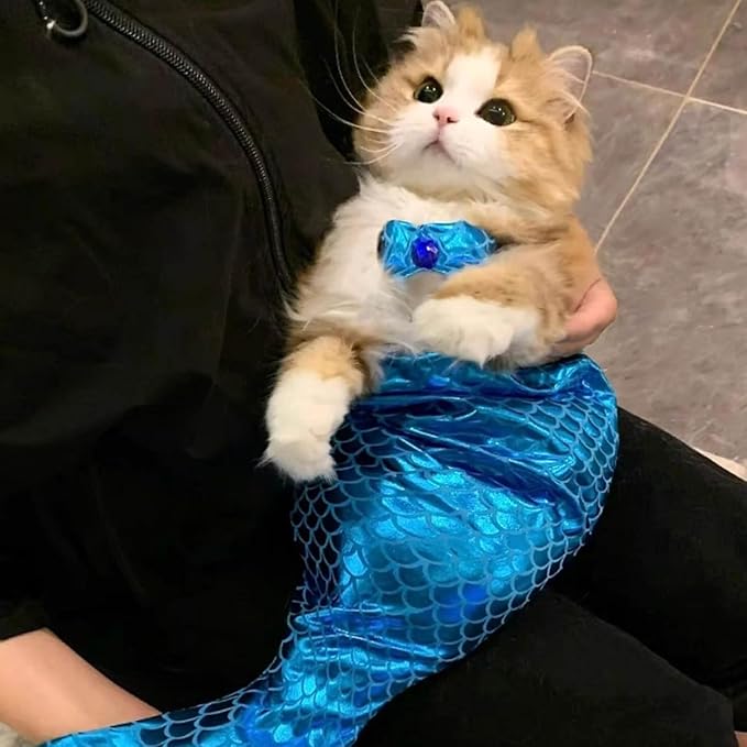 Cat Mermaid Costume