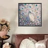 DIY Partial Special Shaped Drill Diamond Painting-Peacock