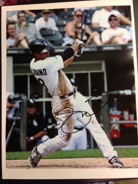 Tyler Saladino Signed 8 x 10 Photo Poster painting Chicago White Sox Autographed with COA