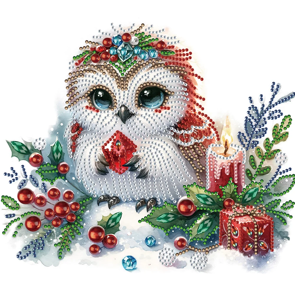 Diamond Painting - Partial Special Shaped Drill - Winter Owl(Canvas|30*30cm)