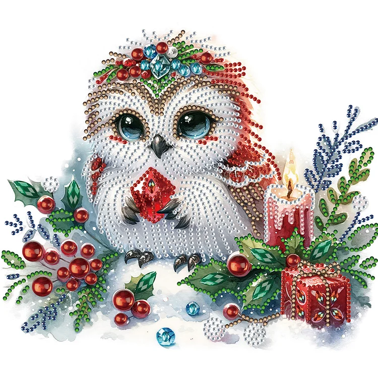 Partial Special-Shaped Diamond Painting - Winter Owl 30*30CM
