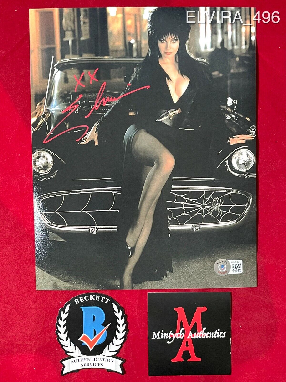 ELVIRA CASSANDRA PETERSON AUTOGRAPHED SIGNED 8x10 Photo Poster painting! BECKETT COA! HORROR!