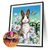 Best lowest diamond painting - Coodeals diamond painting