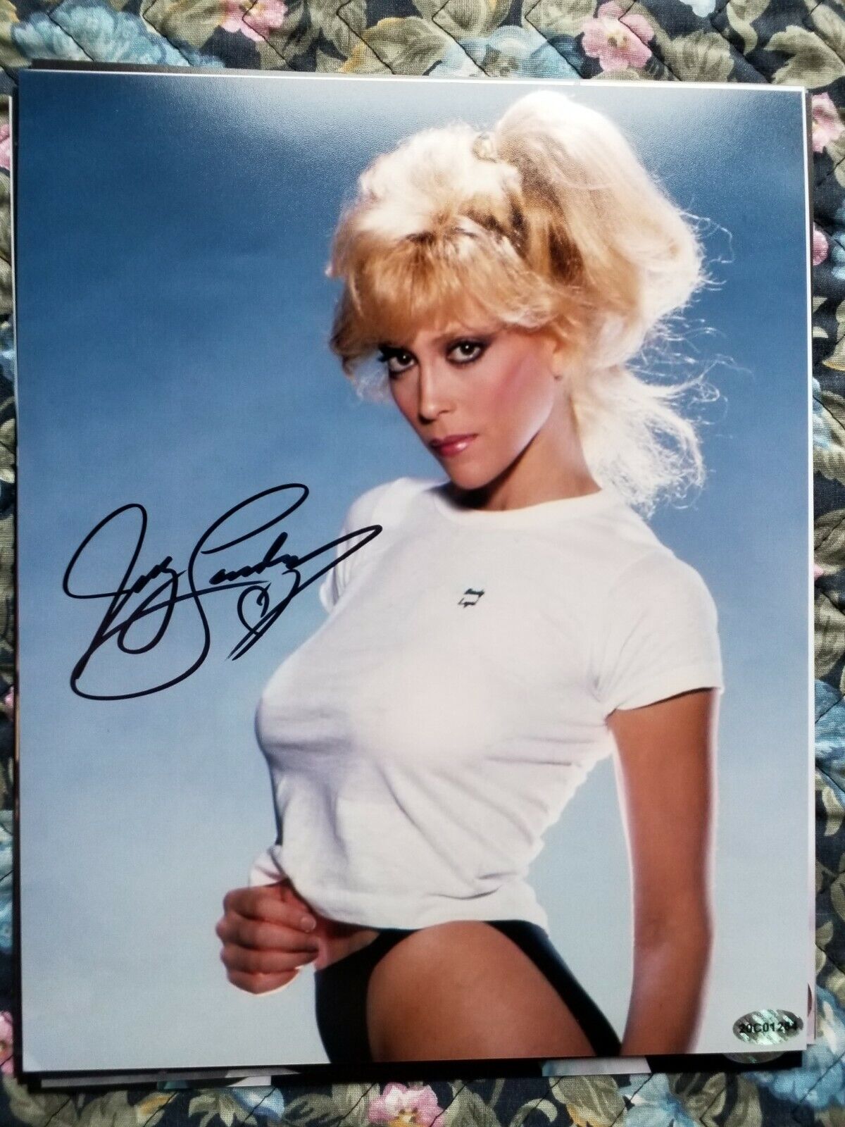 JUDY LANDERS - Ditzy Blonde