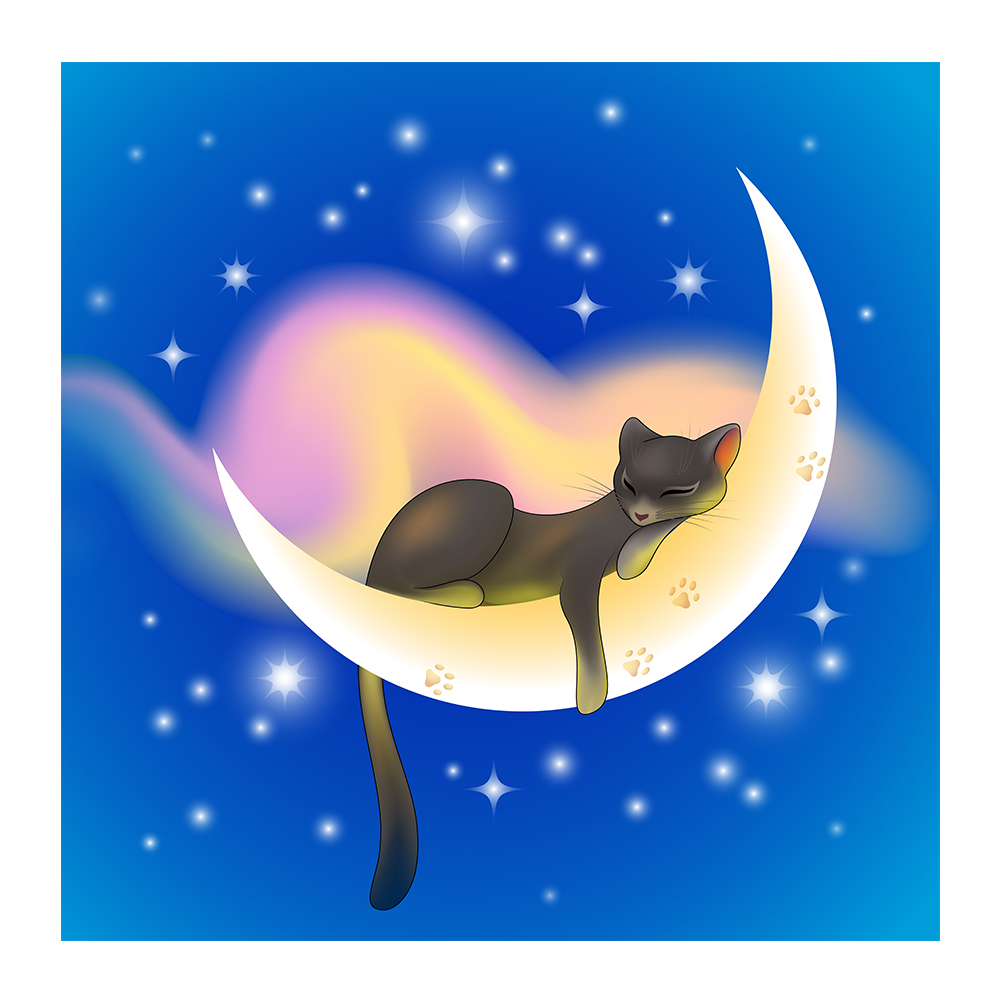 

30*30CM - Round Drill Diamond Painting - Cat on the Moon, 501 Original