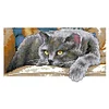 Black Cat - 2 strands 14CT Stamped Cross Stitch  28*16cm(Brand)