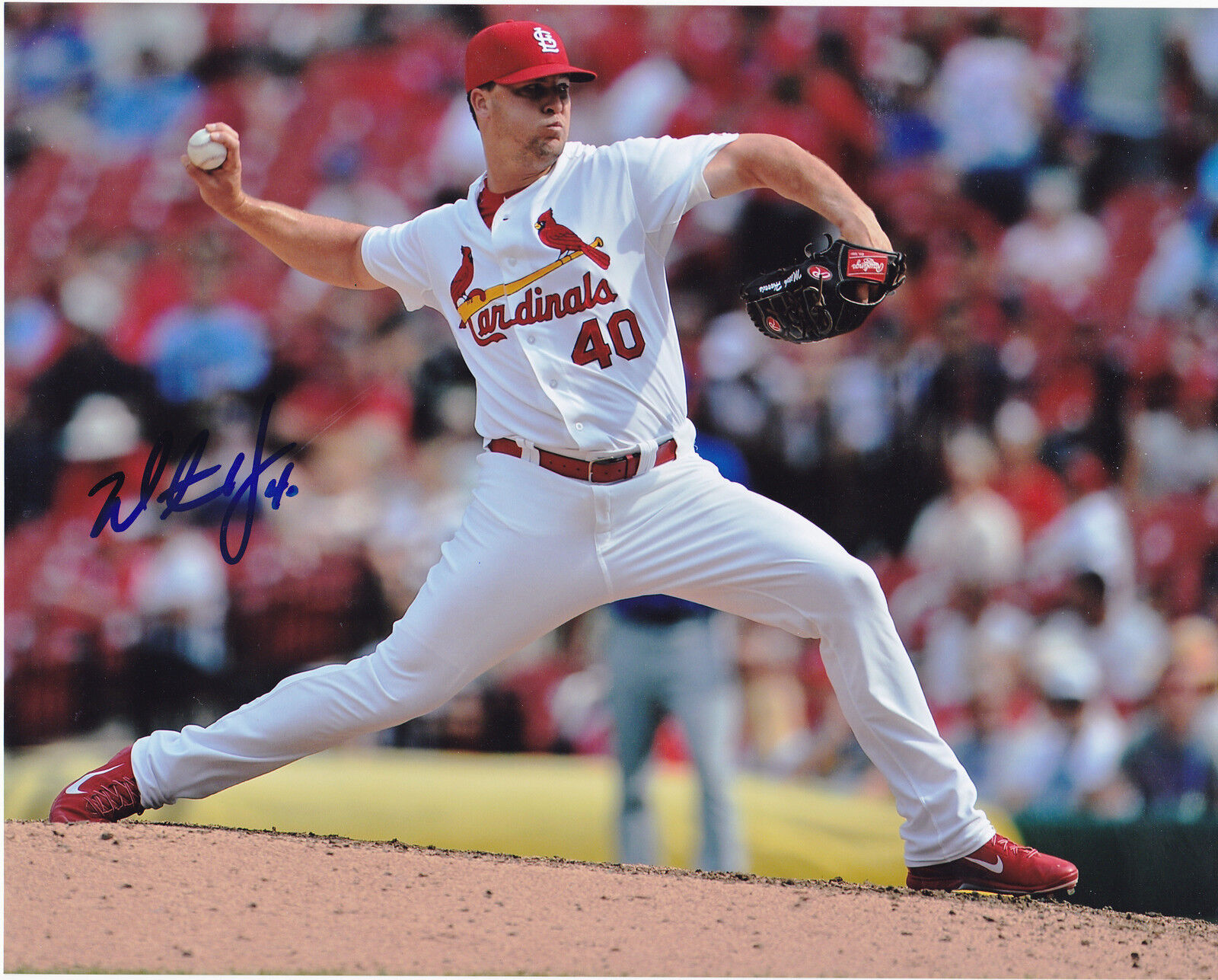 MITCH HARRIS ST. LOUIS CARDINALS ACTION SIGNED 8x10