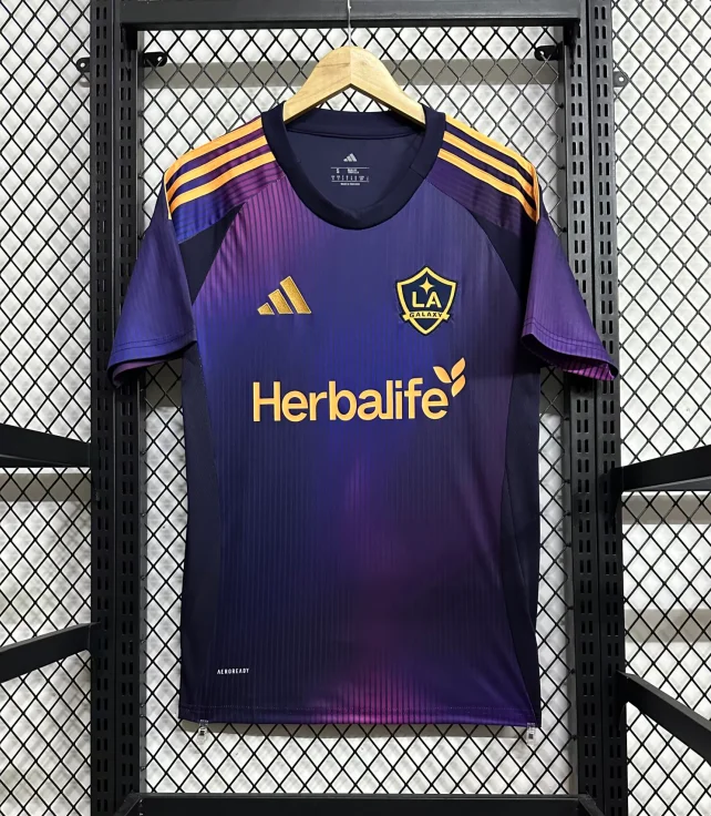 25/26 Los Angeles Galaxy Away Fan Edition
