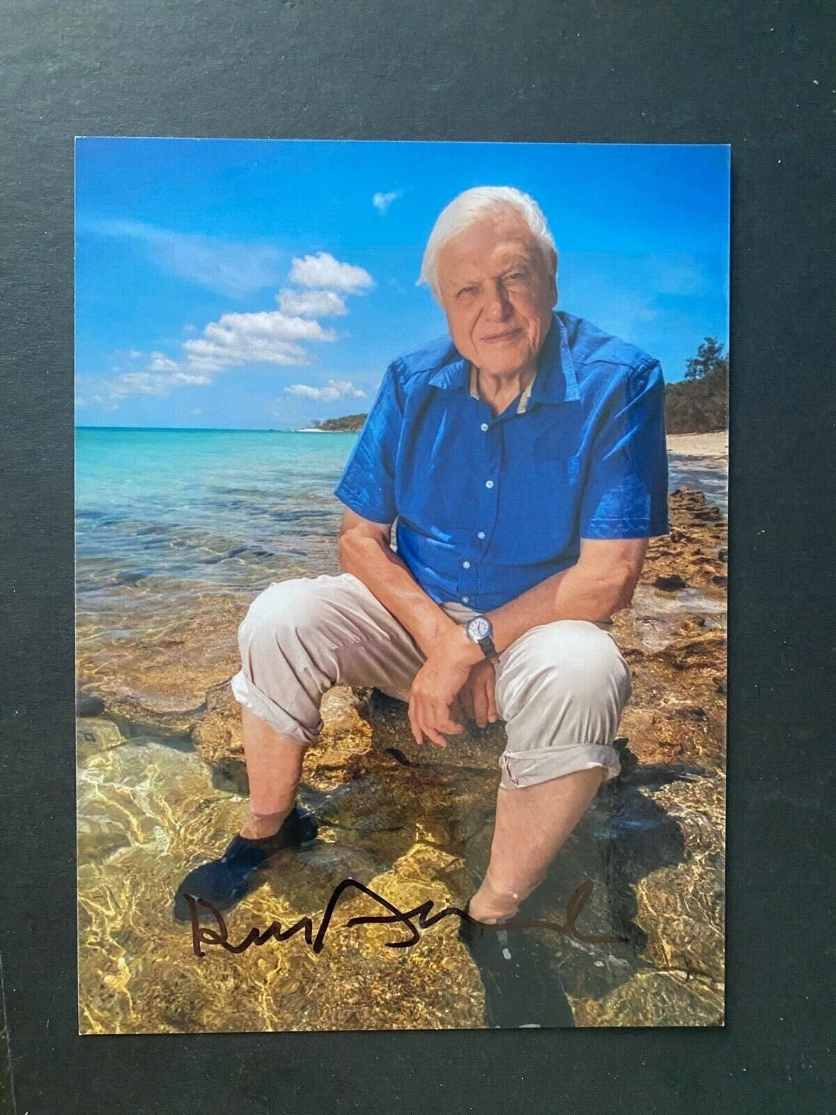 DAVID ATTENBOROUGH - NATURAL HISTORIAN - EXCELLENT SIGNED COLOUR Photo Poster painting