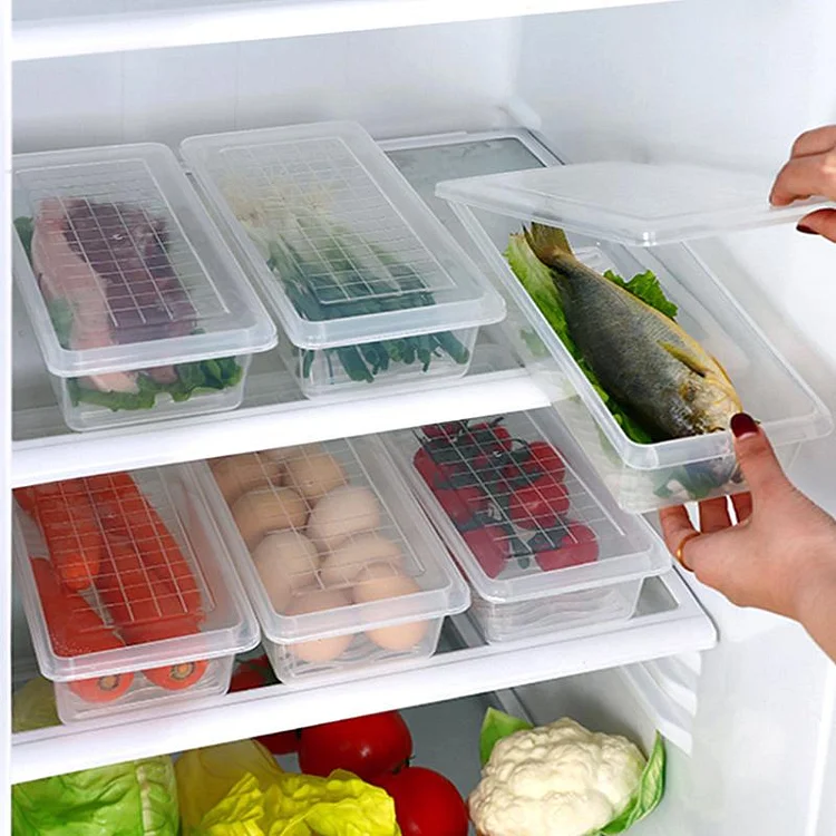 Refrigerator Storage Box with Drain Tray | 168DEAL