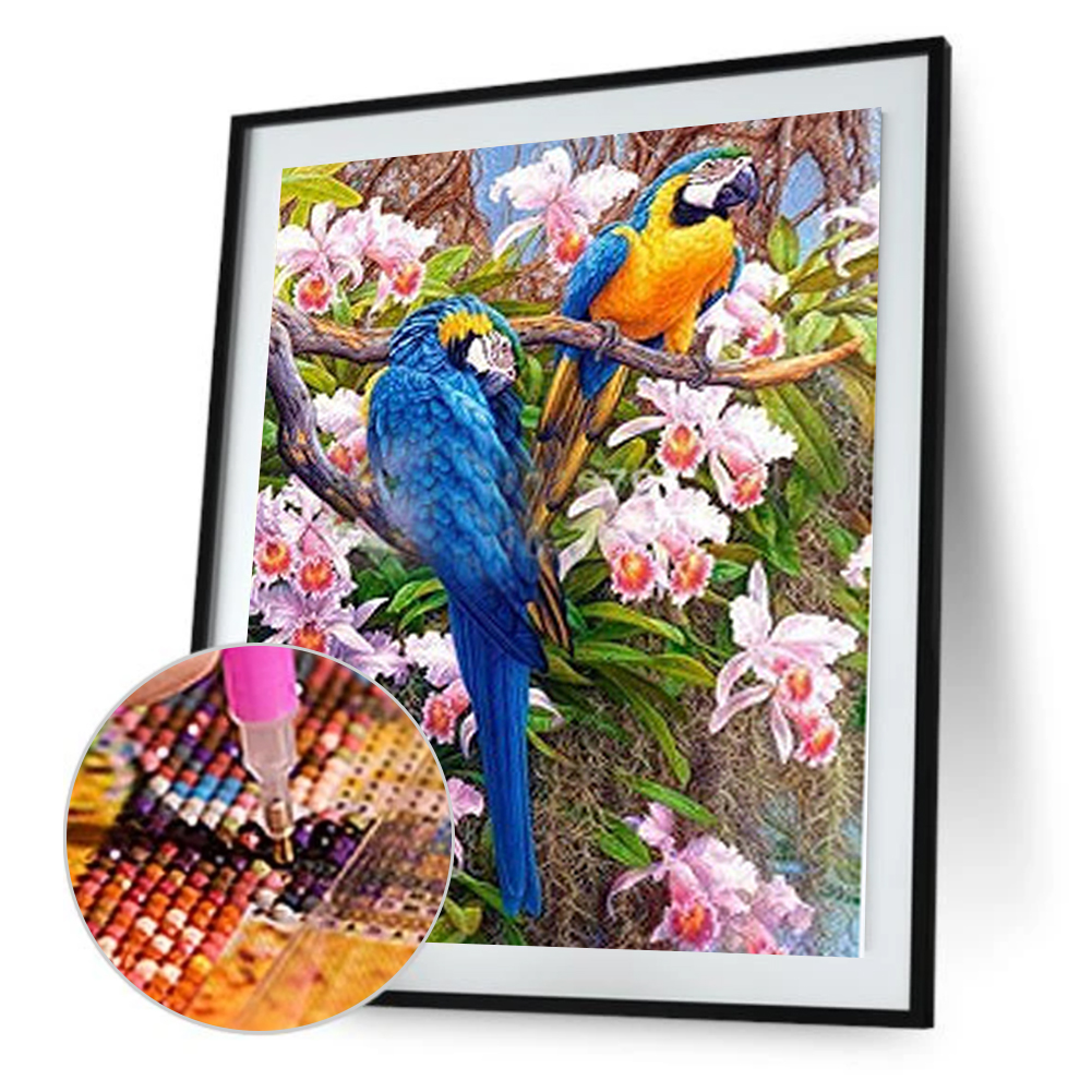 

30*40CM Round Drill Diamond Painting-Two Parrot, 501 Original