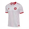 Denmark Away Soccer Jersey 2026 World Cup