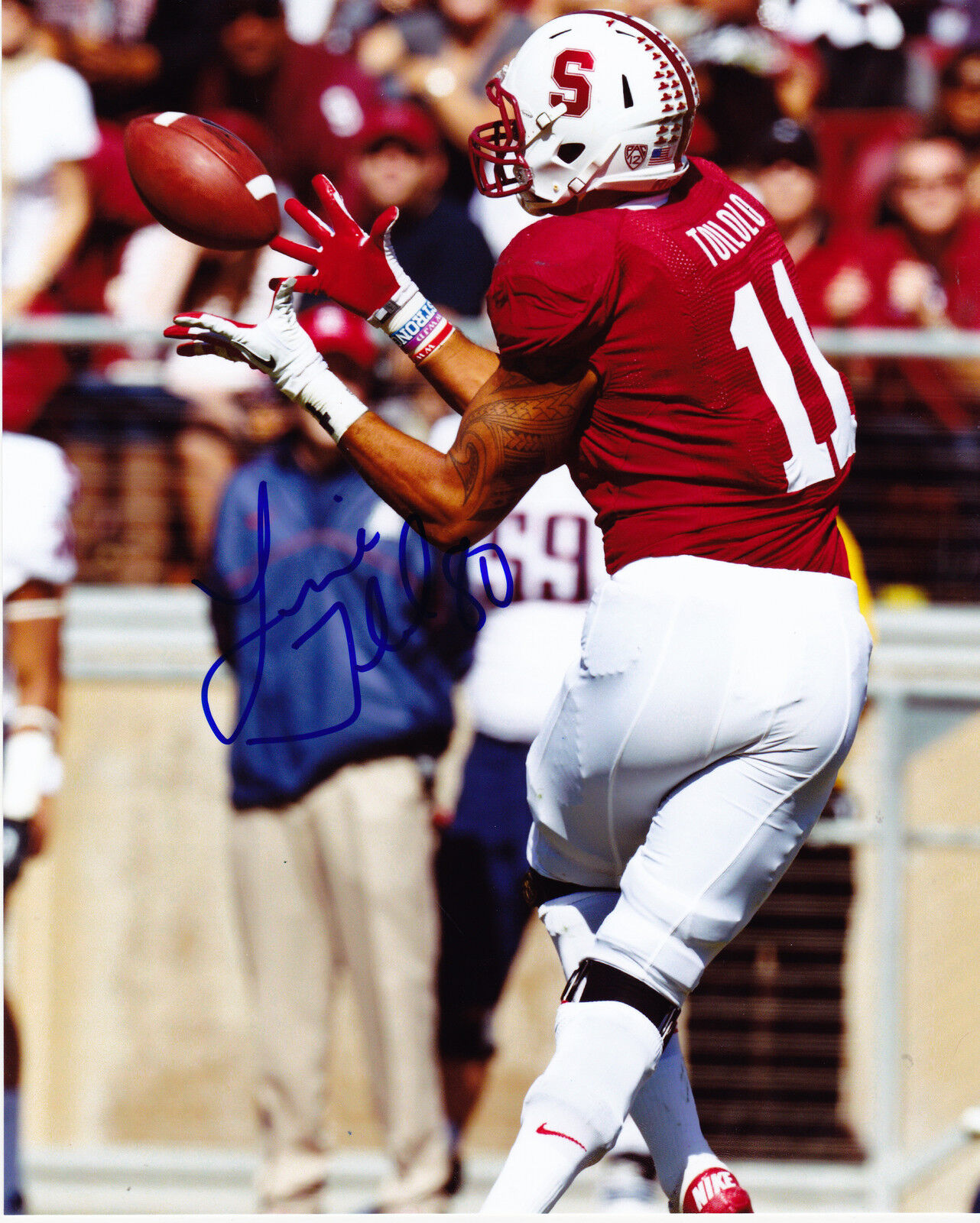 LEVINE TOILOLO STANFORD CARDINALS ACTION SIGNED 8x10