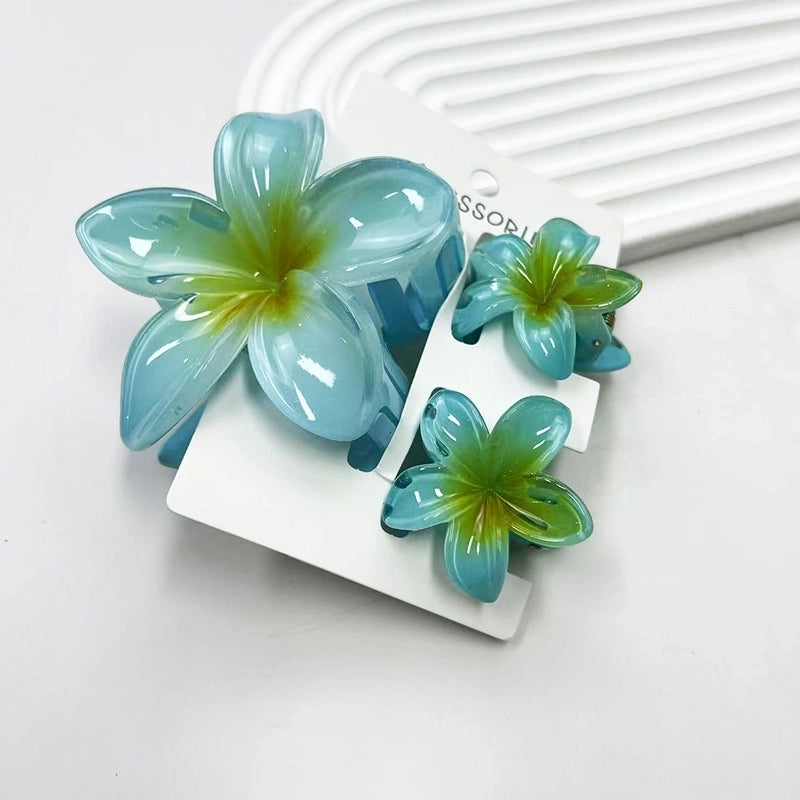 Vacation Modern Style Women’s Flower Resin Hair Claws