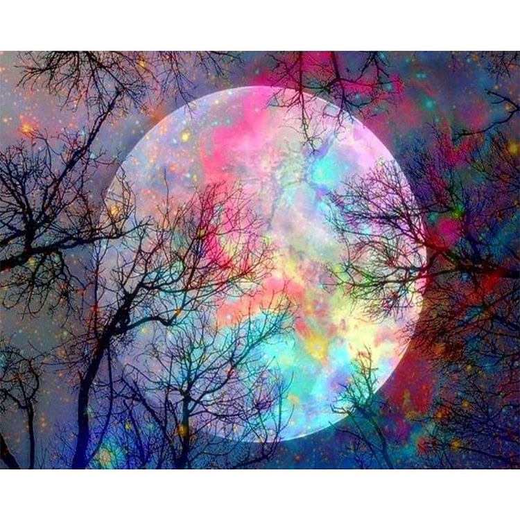 Moon - Painting By Numbers - 40x50cm