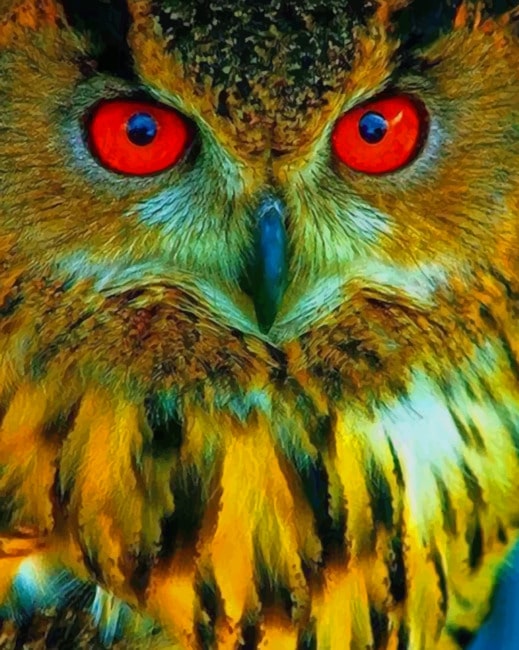 

Owl With Red Eyes – Paint By Numbers - 40*50CM, 501 Original