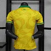 2025/2026 Player Version Brazil Special Edition 05 Football Jersey 1:1 Thai Quality