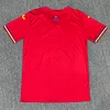 Joyfball 2025 Romania Away Football Shirt 1:1 Thai Quality