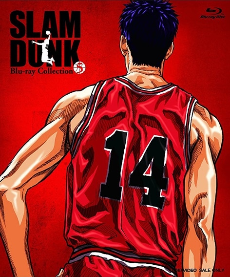 

Mitsui Slam Dunk – Paint By Numbers - 40*50CM, 501 Original