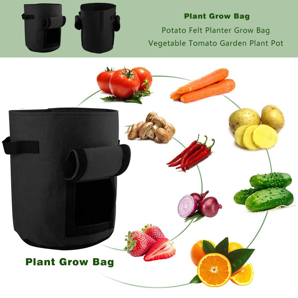 

Non-woven Plant Grow Nursery Bags Fabric Seedling Pots (Black 10 Gallon), 501 Original