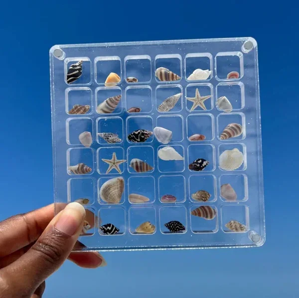 Acrylic Magnetic Seashell Display Box