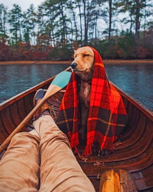 

Dog In Boat With Blanket – Paint By Numbers - 40*50CM, 501 Original