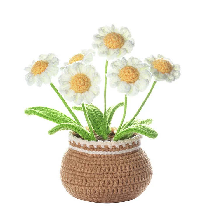 YarnSet - Crochet Kit For Beginners - Daisy