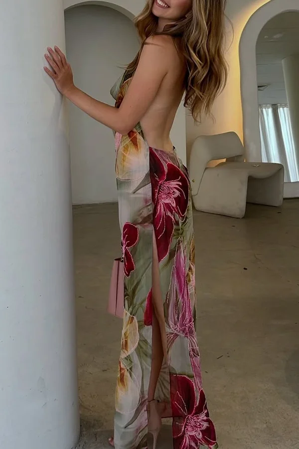 Floral Print Sexy Backless Slit See-Through Holiday Maxi Dress
