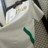 2025 Senegal Soccer Jersey Home