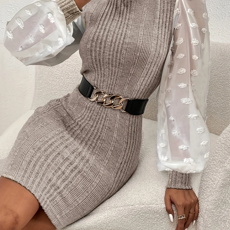 Swiss Dot Contrast Mesh Splicing Dress, Elegant Long Sleeve Dress For Spring & Fall, Women's Clothing