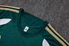 Joyfball 2026/2027 Italy Short sleeve green training Jersey+Shorts