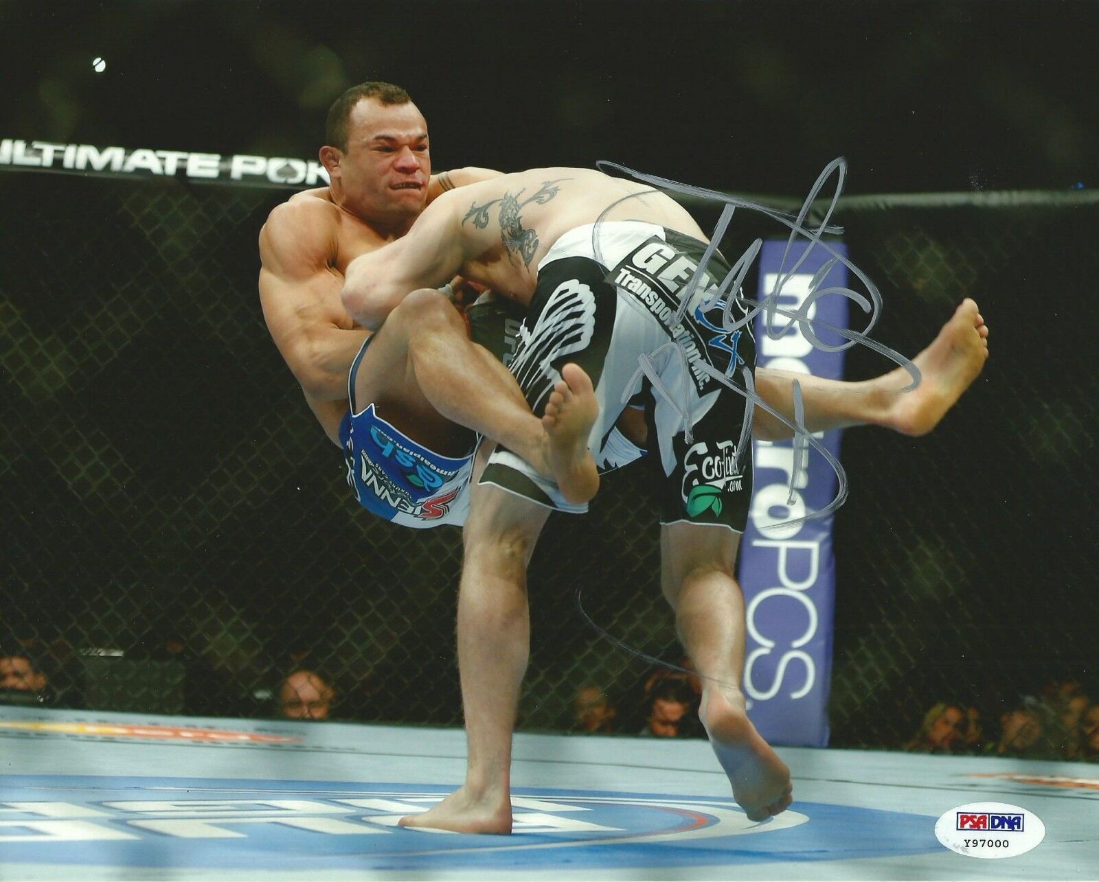 Gleison Tibau Signed UFC 8x10 Photo Poster painting PSA/DNA COA Picture Autograph 65 184 139 128