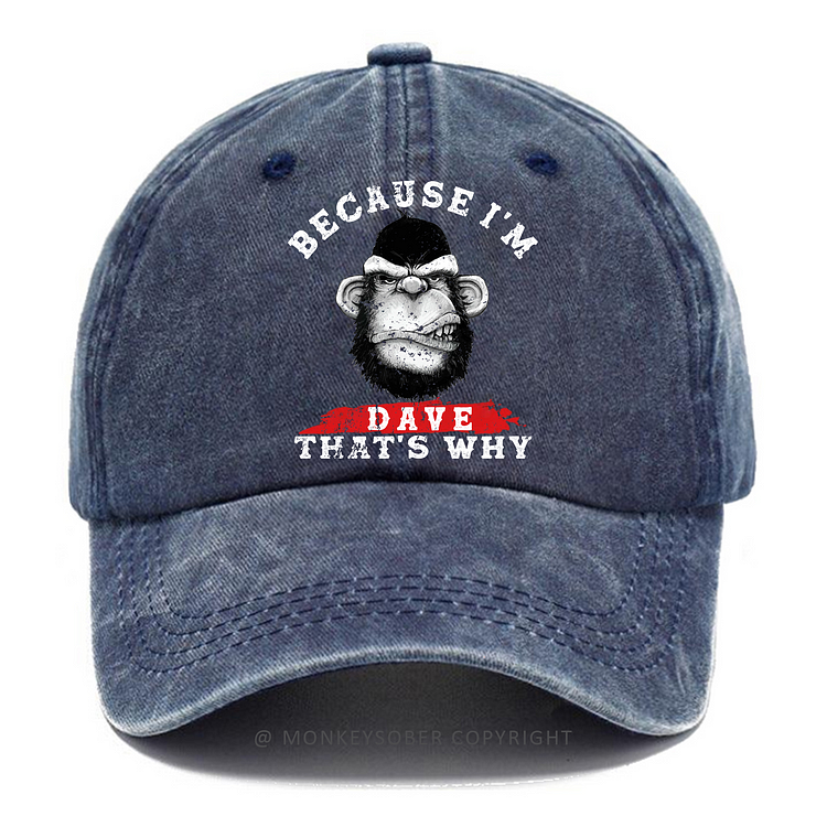 Because I'm Dave That's Why Washed Baseball Caps