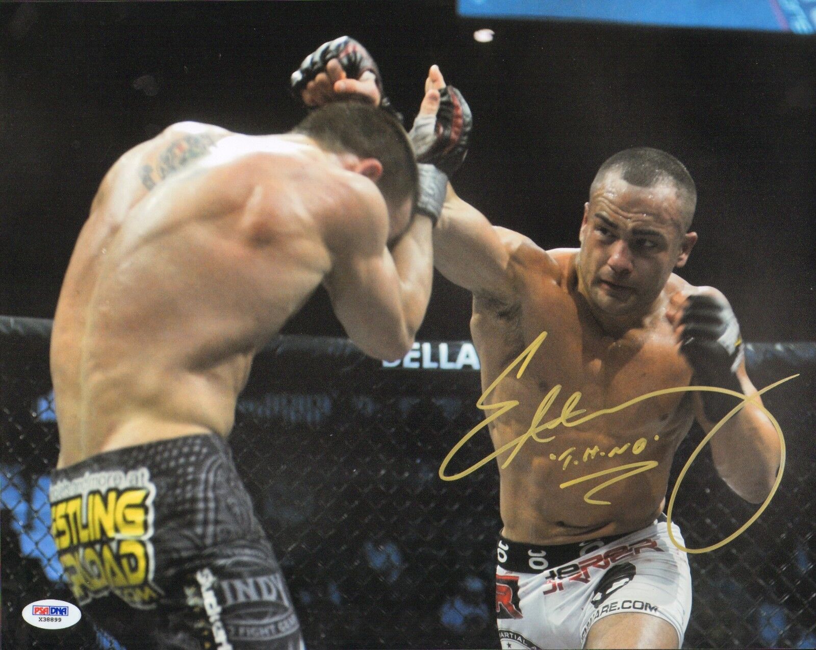 Eddie Alvarez Signed Bellator 11x14 Photo Poster painting PSA/DNA COA Autograph Picture UFC 178