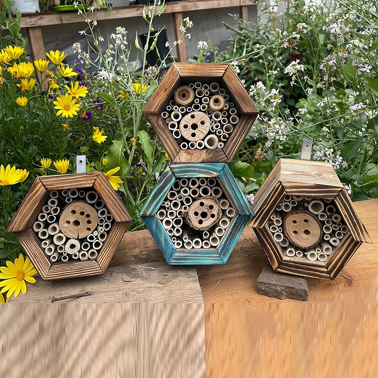 carpenterbeehouse