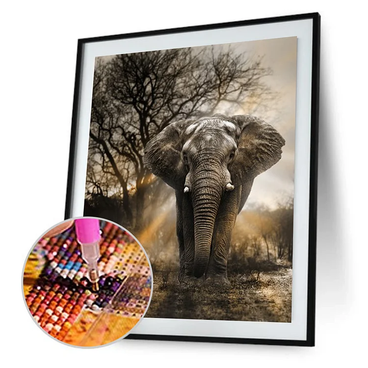 Animal   Diamond Painting-40*30 cm