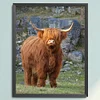 Highland Cow-11CT Stamped Cross Stitch 40*50cm
