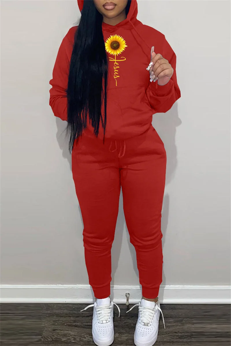 Fashion Casual Print Basic Hooded Collar Long Sleeve Two Pieces