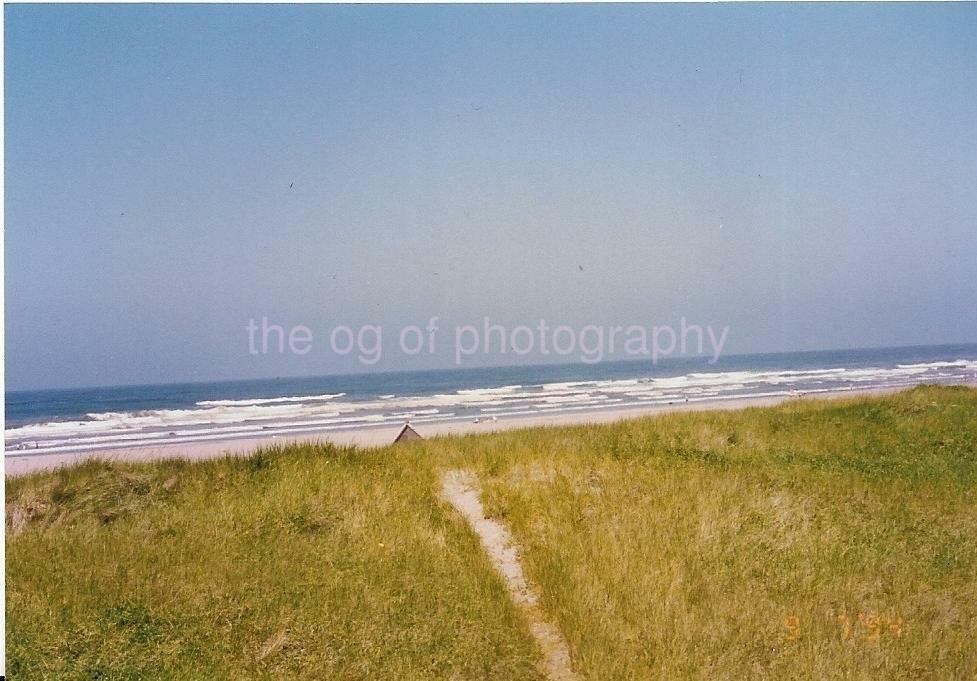 FOUND Photo Poster paintingGRAPH Color PATH TO THE SEA Snapshot Original VINTAGE 22 46 D