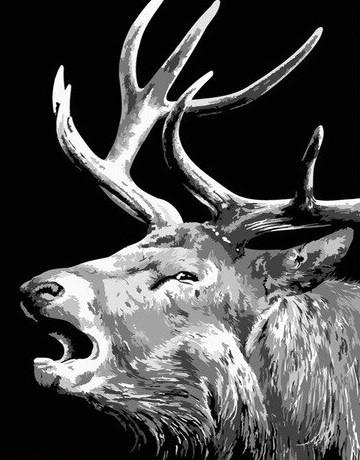 

Black And White Elk – Paint By Numbers - 40*50CM, 501 Original