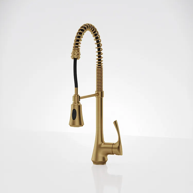 EVERSTEIN Commercial Pull-Down Kitchen Faucet Brushed Gold