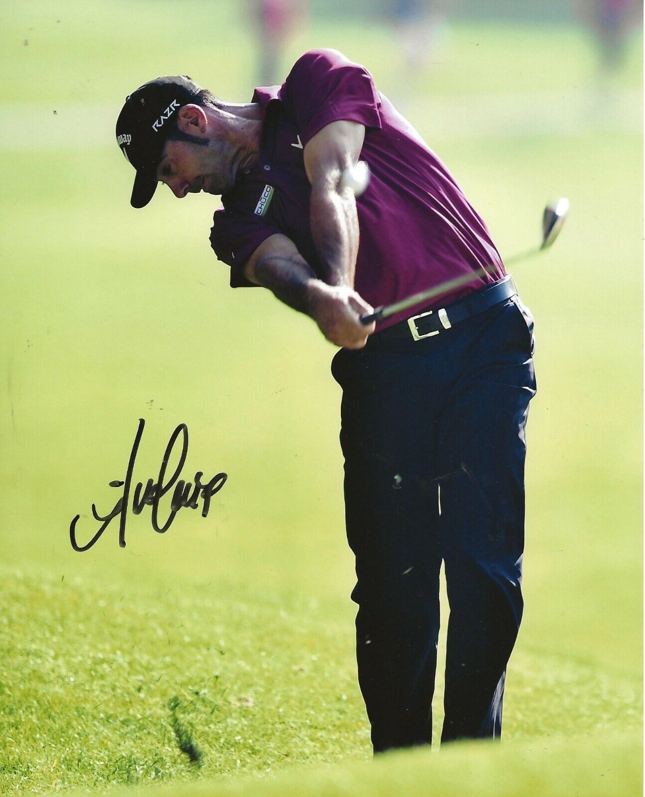 Alvaro Quiros European Tour signed Golf 8x10 Photo Poster painting autographed