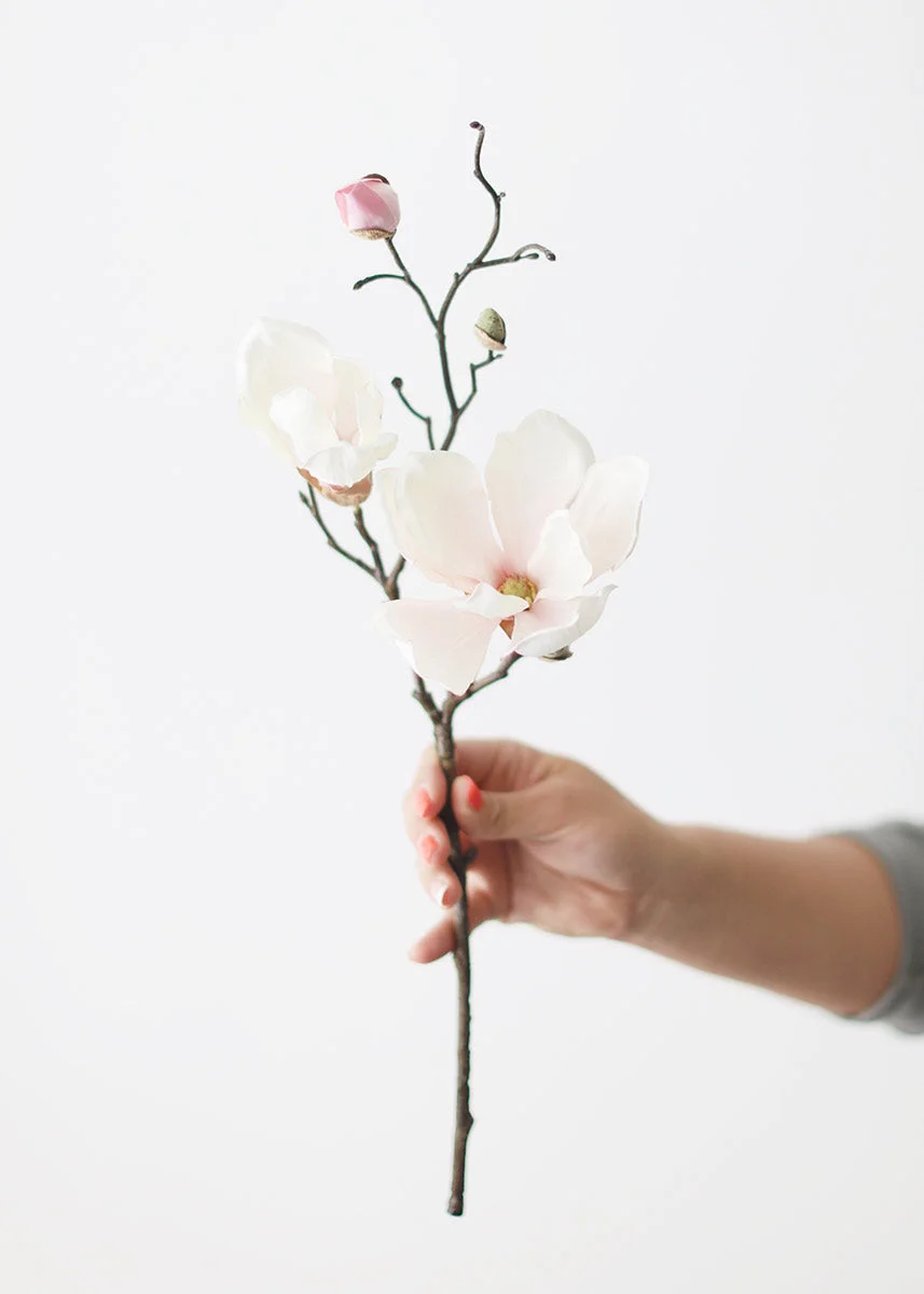 Silk Magnolia Branch in Blush Pink - 19"
