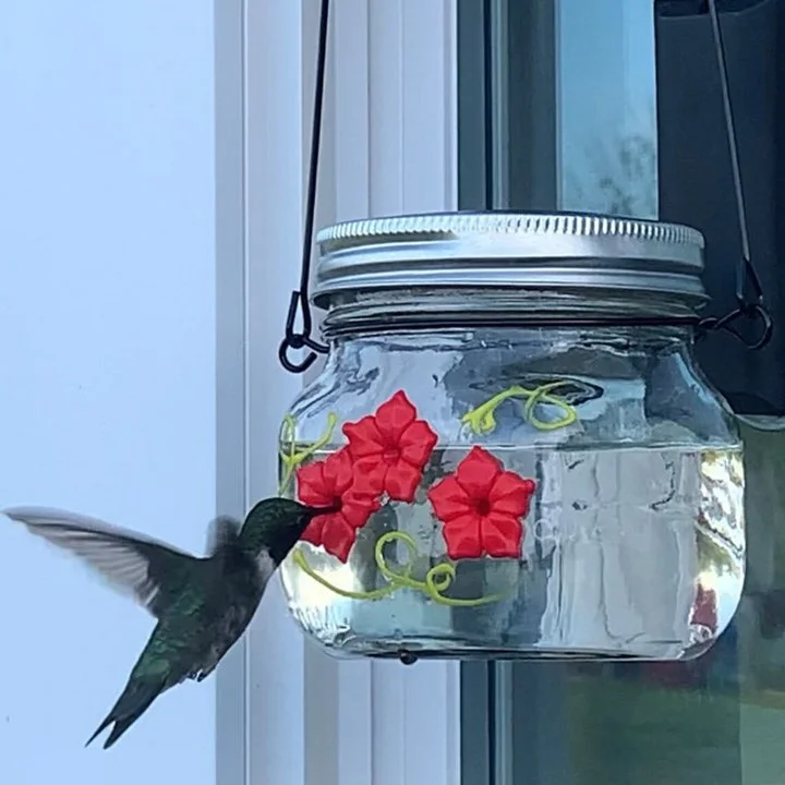 Mason Jar Hummingbird Feeder w/Three Ports